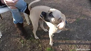 Take China Porn Videos 20